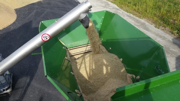 Baling crimped grain